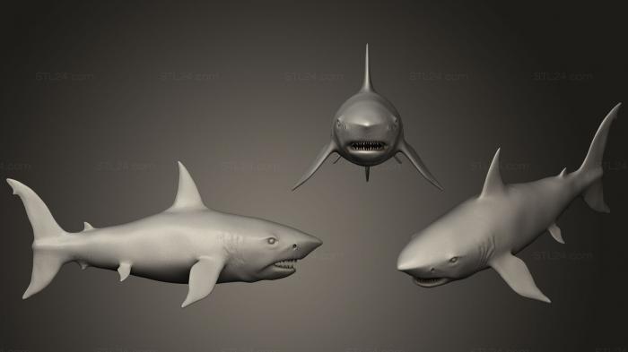 Статуэтки упрощенные (Большая белая акула, STKPR_0585) 3D модель для ЧПУ станка